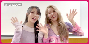 MAMAMOO+